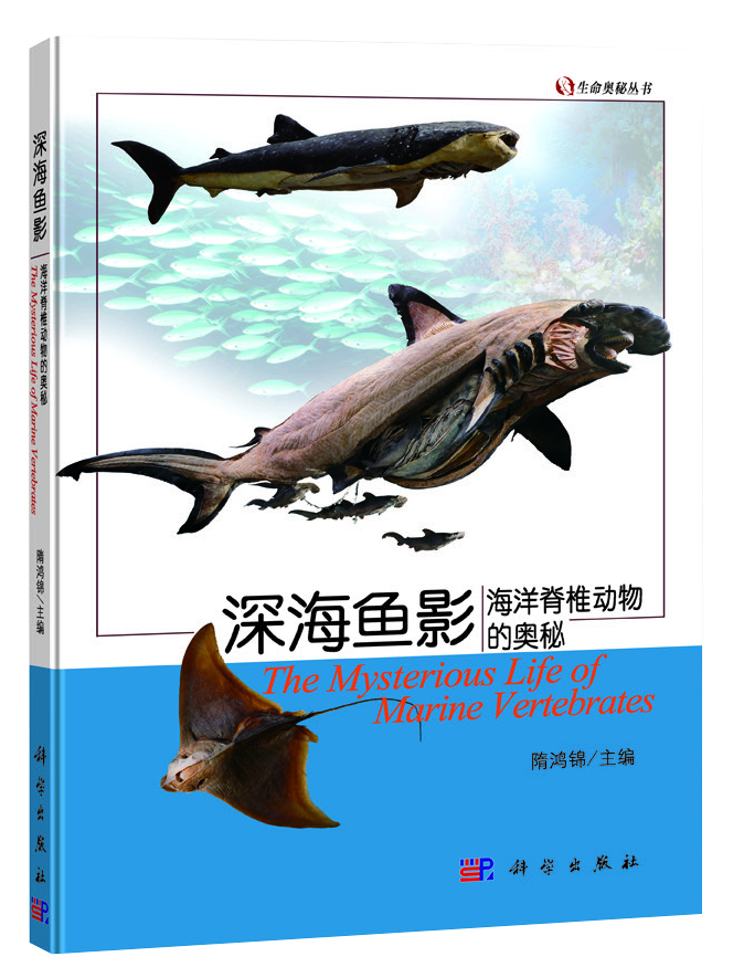 3.深海鱼影.jpg