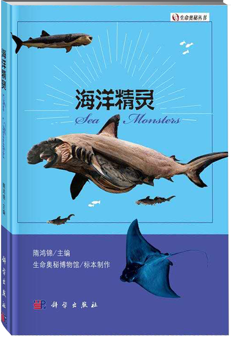 4.海洋精灵.png
