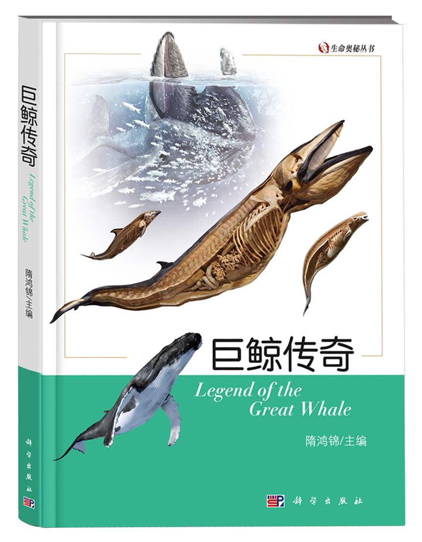 5.巨鲸传奇.png