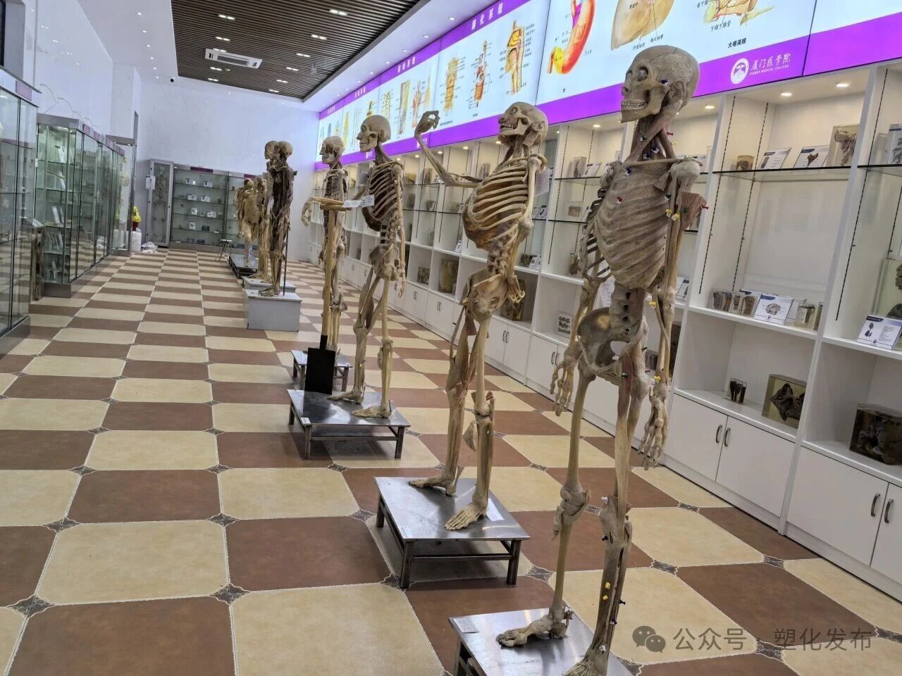 1763091812961845.jpg 756dbbcb65f1a864bc96dc5429ad44e7.jpg