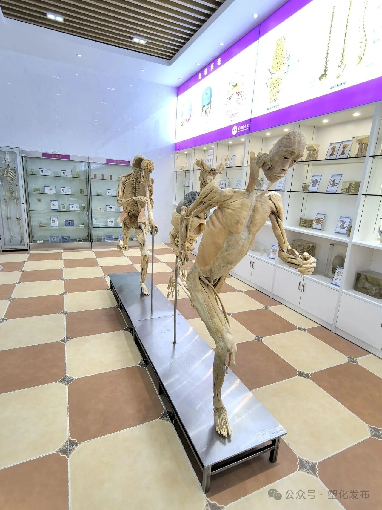 1763091936120729.jpg 8abbfff3e53b6de99280f052cfe95115.jpg