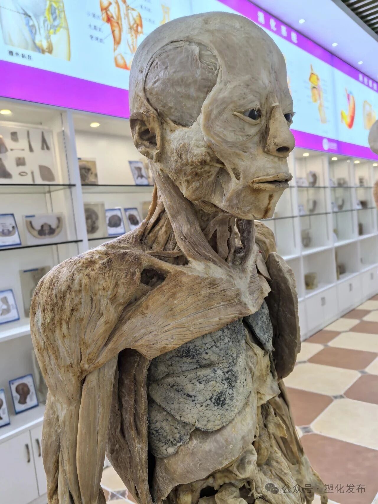 1763092092457581.jpg 1e9131cdfe4fcea759bc49a184e4efc1.jpg