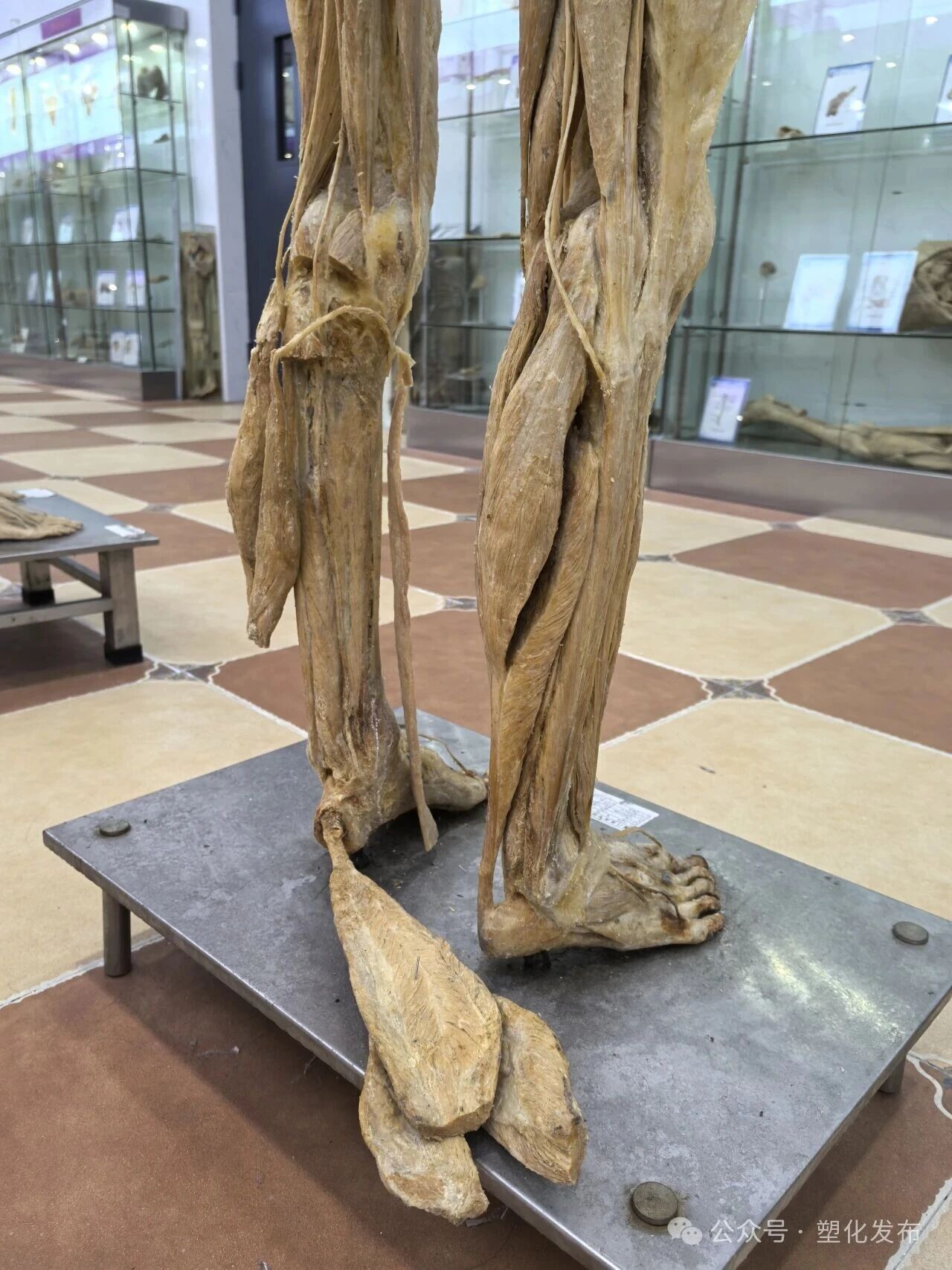 1763092097918935.jpg 9fb029a22396dab2d4f85b47a093c5dd.jpg