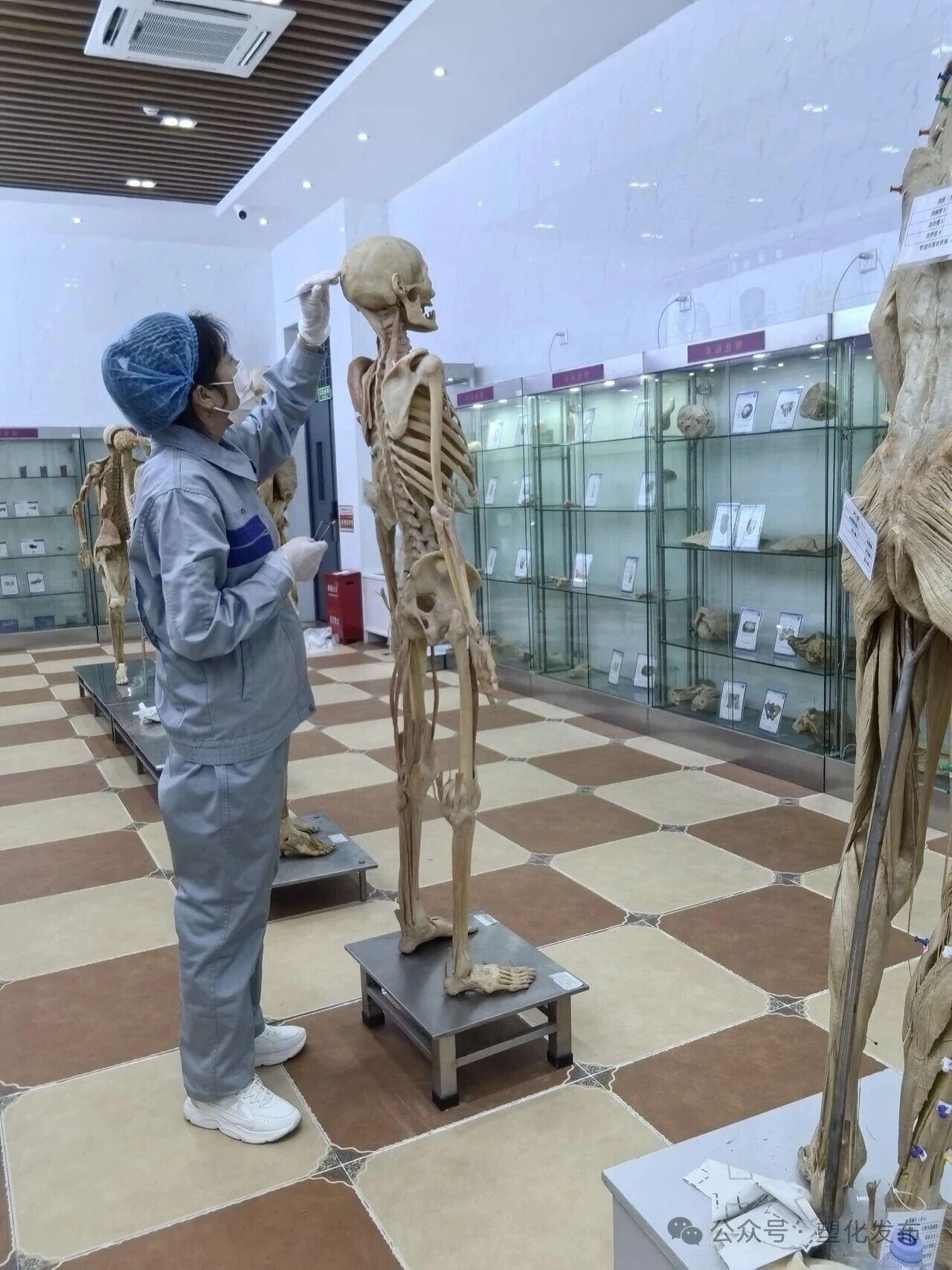 1763092224326923.jpg ae9e9469c45aeb8e1e96e392811ed4c2.jpg