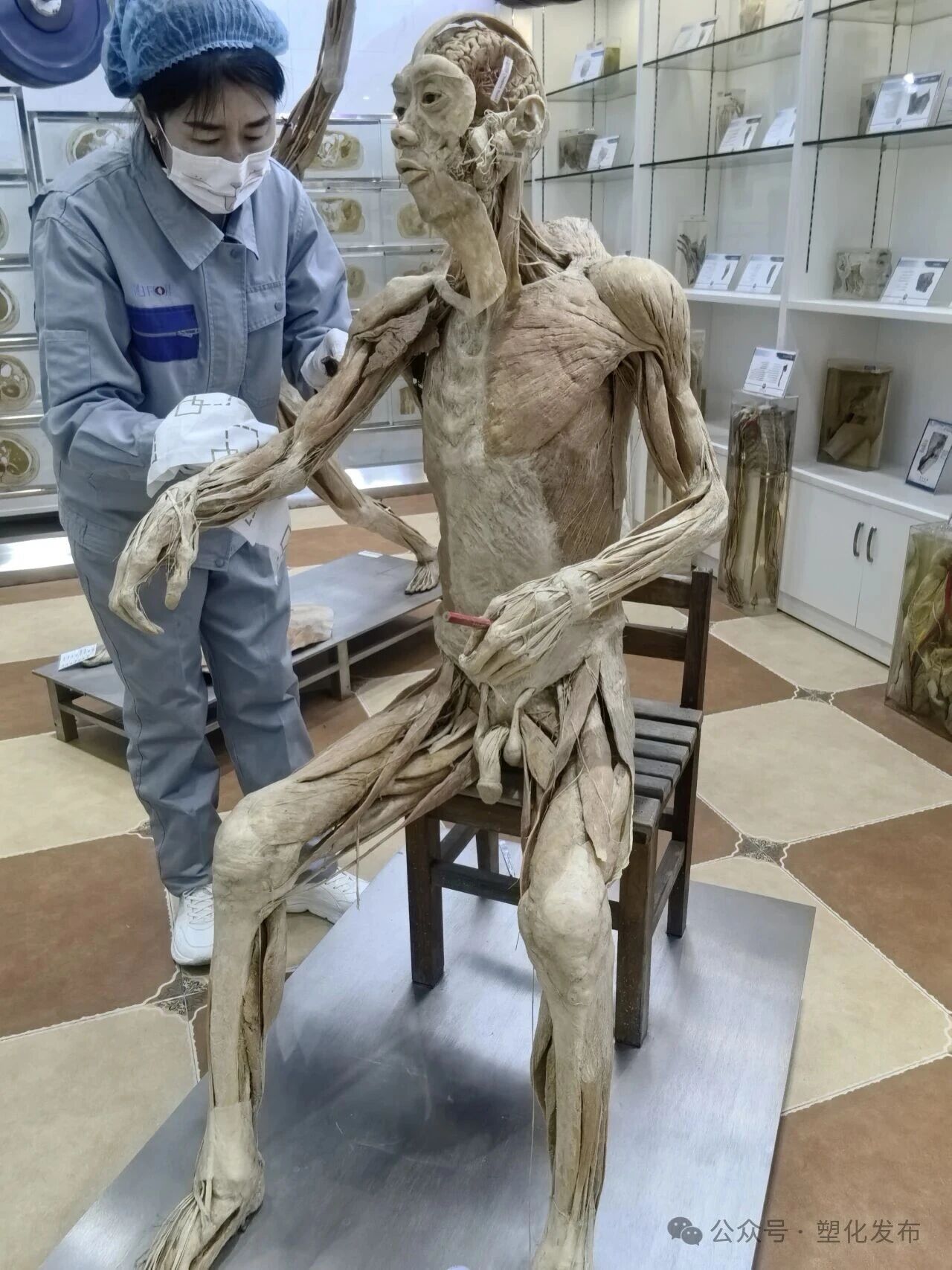 1763092248565094.jpg c641dfc7456f28c00edf863d3bb28f5f.jpg