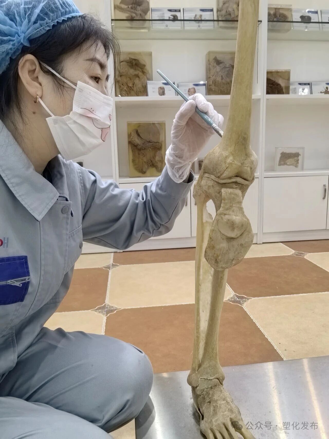 1763092269230132.jpg c05f19381c889e88fbd2c1bd4cc11386.jpg