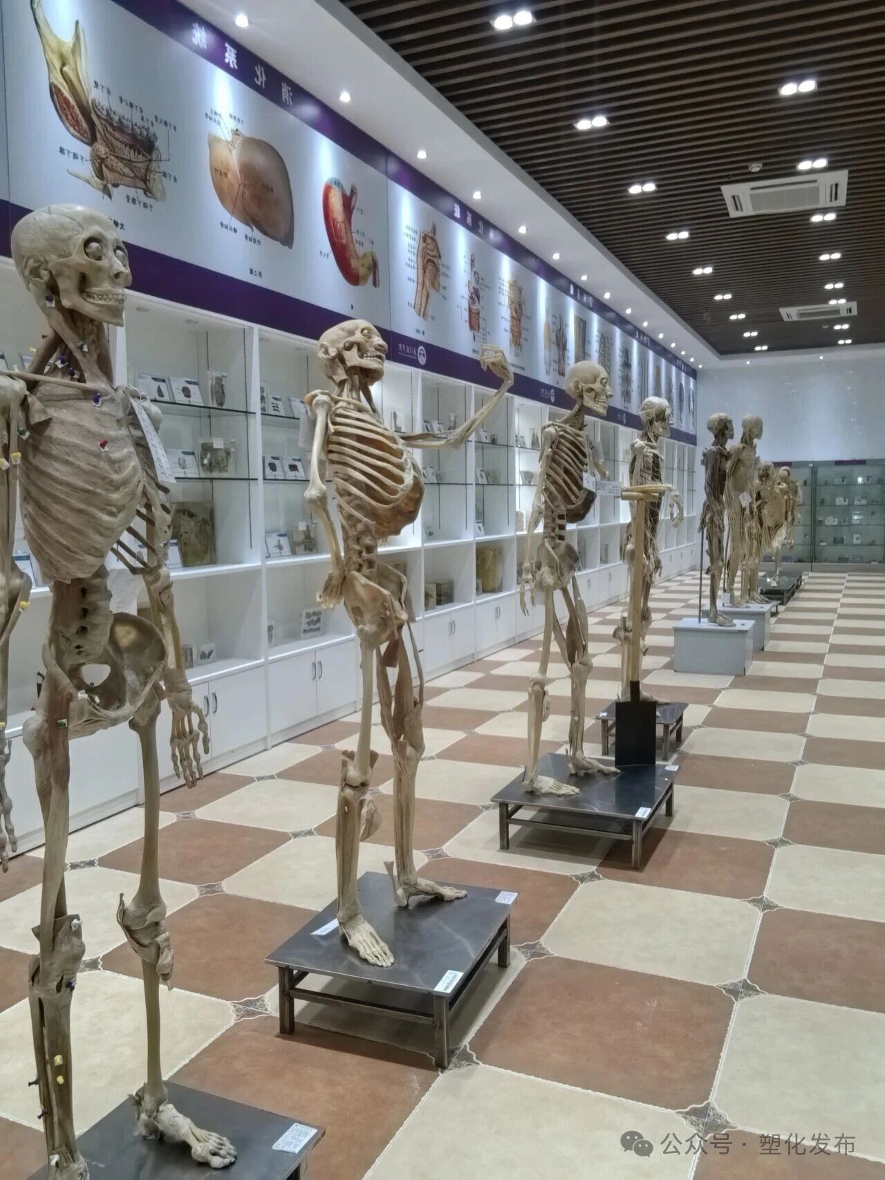 1763092339191020.jpg 601d8c035025d709cdd6f32b4840f5c9.jpg