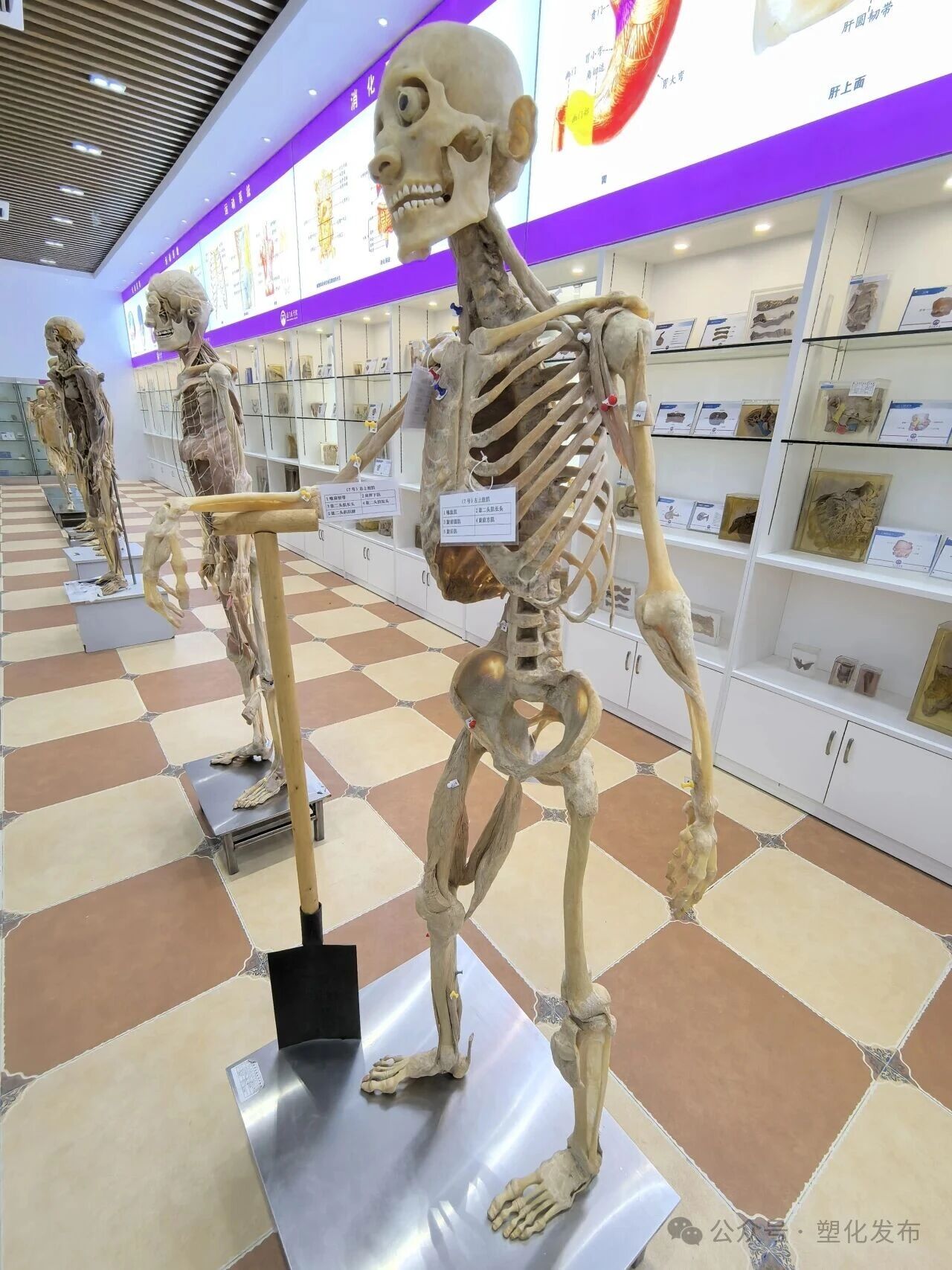 1763092344696586.jpg 97f4b727e37015711b08580c1722f3c6.jpg