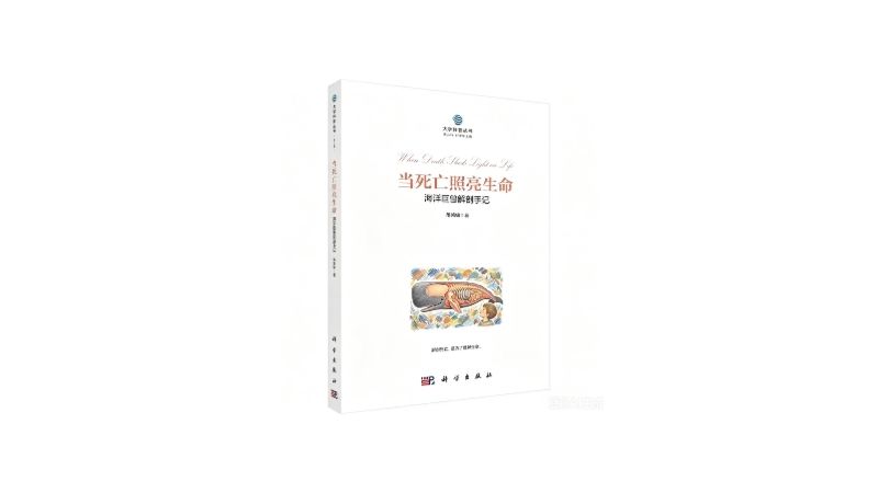 未命名的设计.jpg